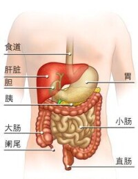 直腸惡變