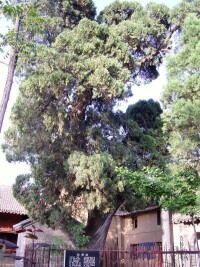 香山寺[洛寧香山寺]