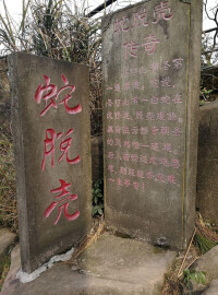 聖燈山森林公園