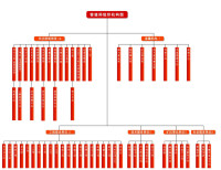 組織機構圖