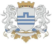 波德戈里察市徽