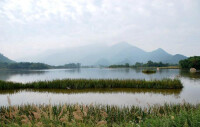 大九湖國家濕地公園