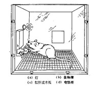 操作性條件反射