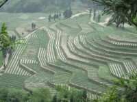 寶山鄉村旅遊區