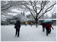 冬日踏雪蓮花庄