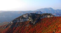 龜山[山西省晉城市龜山]