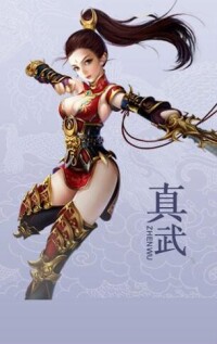 龍武[冰川網路開發2.5D仙俠動作網游]