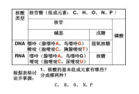 核苷出現的概率表格