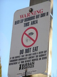 在澳洲堪培拉的警告牌