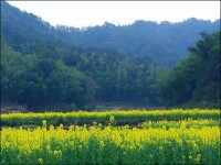 錢江源森林公園