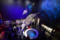 國家海洋博物館將首批開放“遠古海洋”“今日海洋”“發現之旅”和“龍的時代”四個展廳