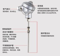 防腐熱電阻