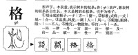 格字的字源演變