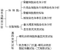 致突變作用