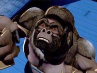 OPTIMUS PRIMAL 黑猩猩