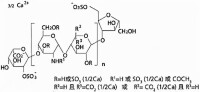 速碧林