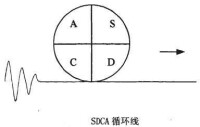 SDCA循環