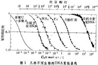 脫氧核糖核酸重複順序