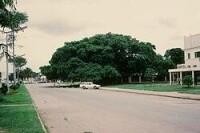 以無花果樹為主體的大樹國家紀念碑為卡布韋的代表之一