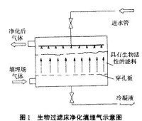 氣體凈化