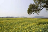 中南村[廣東省中山市港口鎮中南村]