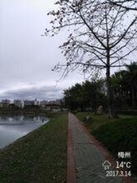 劍英公園59