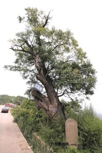 廣元紅軍徠山