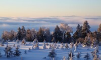 雪嶺風光