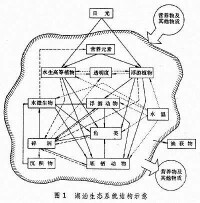 淡水生態