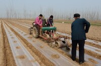 新河縣南馮召村的農民在進行油葵機械播種