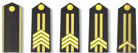 解放軍海軍專業軍士肩章(1993-1999)