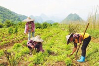 村民[居住在村一級行政區劃內的公民]