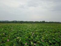 夏陽村[湖南省永州市珠山鎮夏陽村]