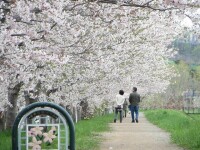 二世古積丹小樽海岸國定公園