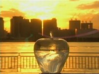 戀愛世紀中的水晶蘋果