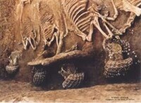 1990年全國十大考古發現