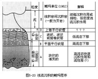 泥石流沉積物結構分析圖片