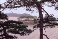 松島——日本三景之一