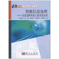 智能信息處理[2010年10月1日科學出版社]