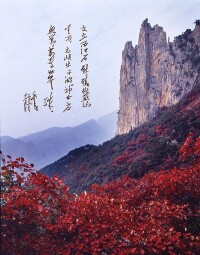 巫山神女驚世殊·毛澤東詞