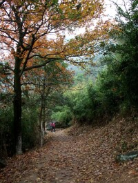 石岩屋楓樹嶺古道