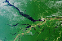 剛果盆地