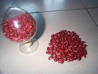 紅芸豆