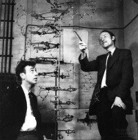 馬克斯·佩魯茨實驗室成員，1962年諾貝爾生理和醫學獎獲得者克里克和沃森