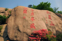 五蓮山風景區黑牛場野生杜鵑花園