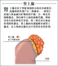 遠端型腎小管酸中毒