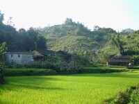 大坪子村[雲南省文山州富寧縣田蓬鎮大坪子村]