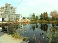 社前村[福建省龍岩市永定區撫市鎮下轄村]