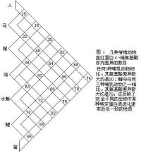 中性學說圖解