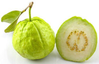 Guava